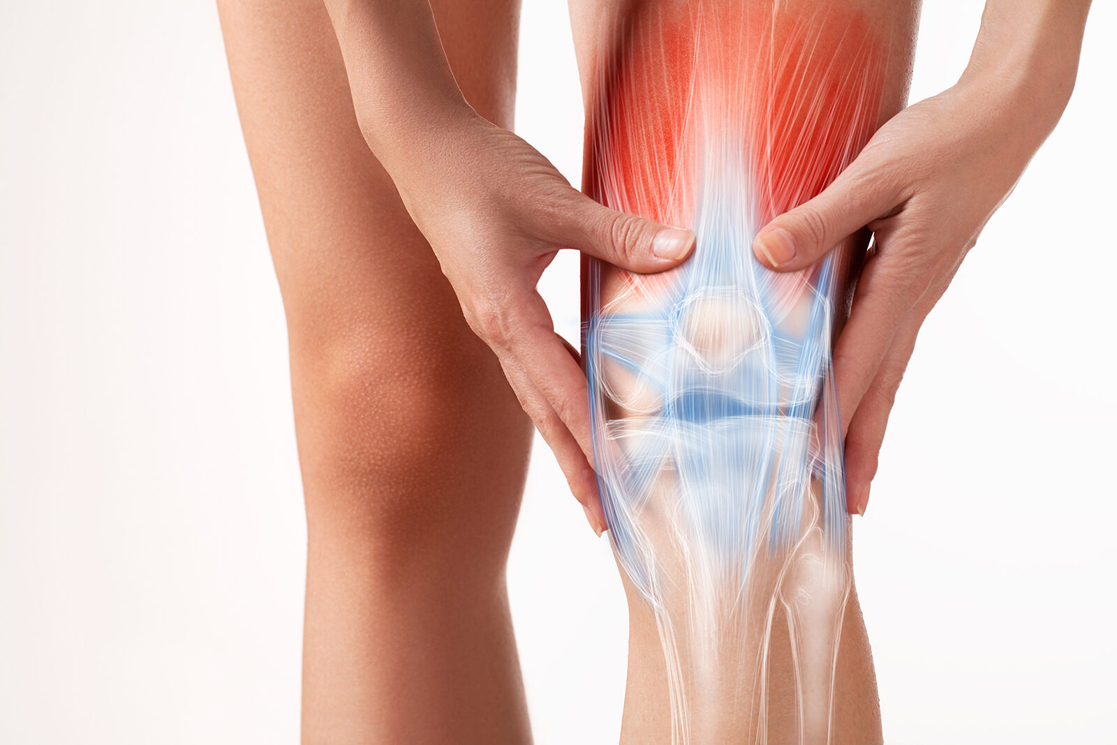 Il rinforzo muscolare che salva il ginocchio