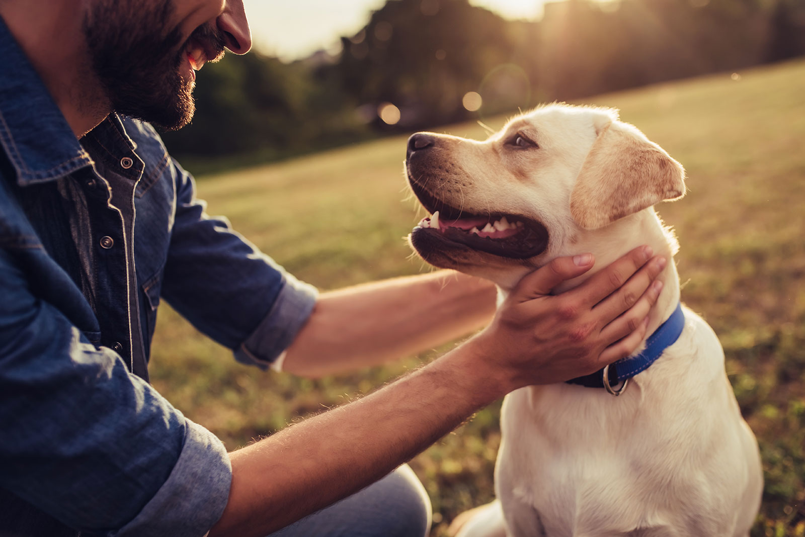 Uomini e animali, vicini ma con prudenza