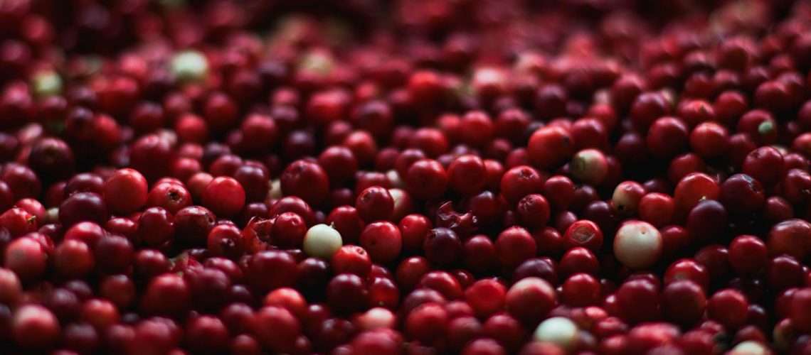 Cranberry-health-benefit