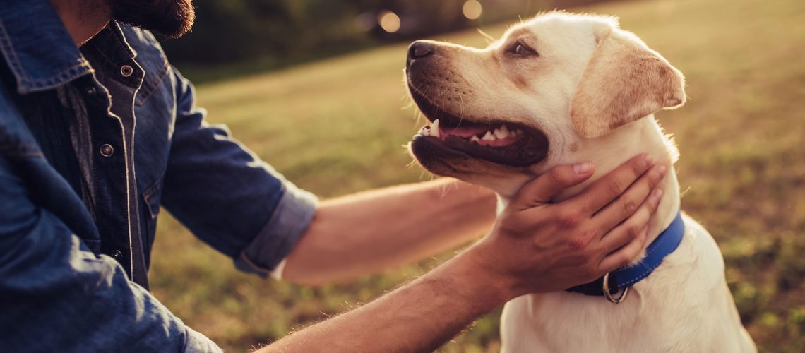 Uomini e animali, vicini ma con prudenza