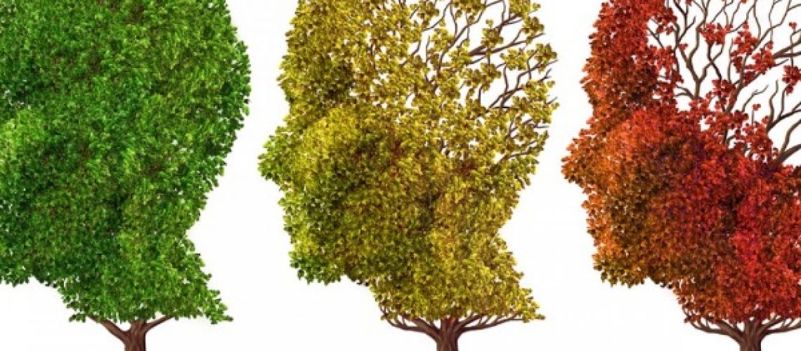 declino-cognitivo-lieve-1