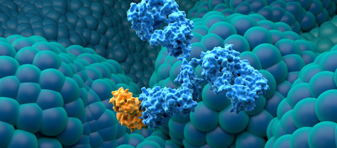 Monoclonal antibody treatment in Prostate cancer - closeup view 3d illustration